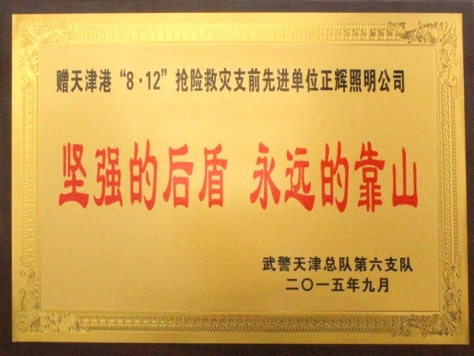 天津抢险救灾先进单位